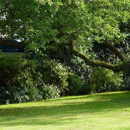 Sleepy Hollow Cottages Somerton  Exteriér fotografie