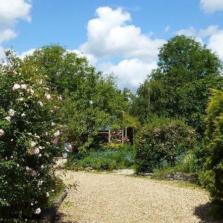 Sleepy Hollow Cottages Somerton  Exteriér fotografie