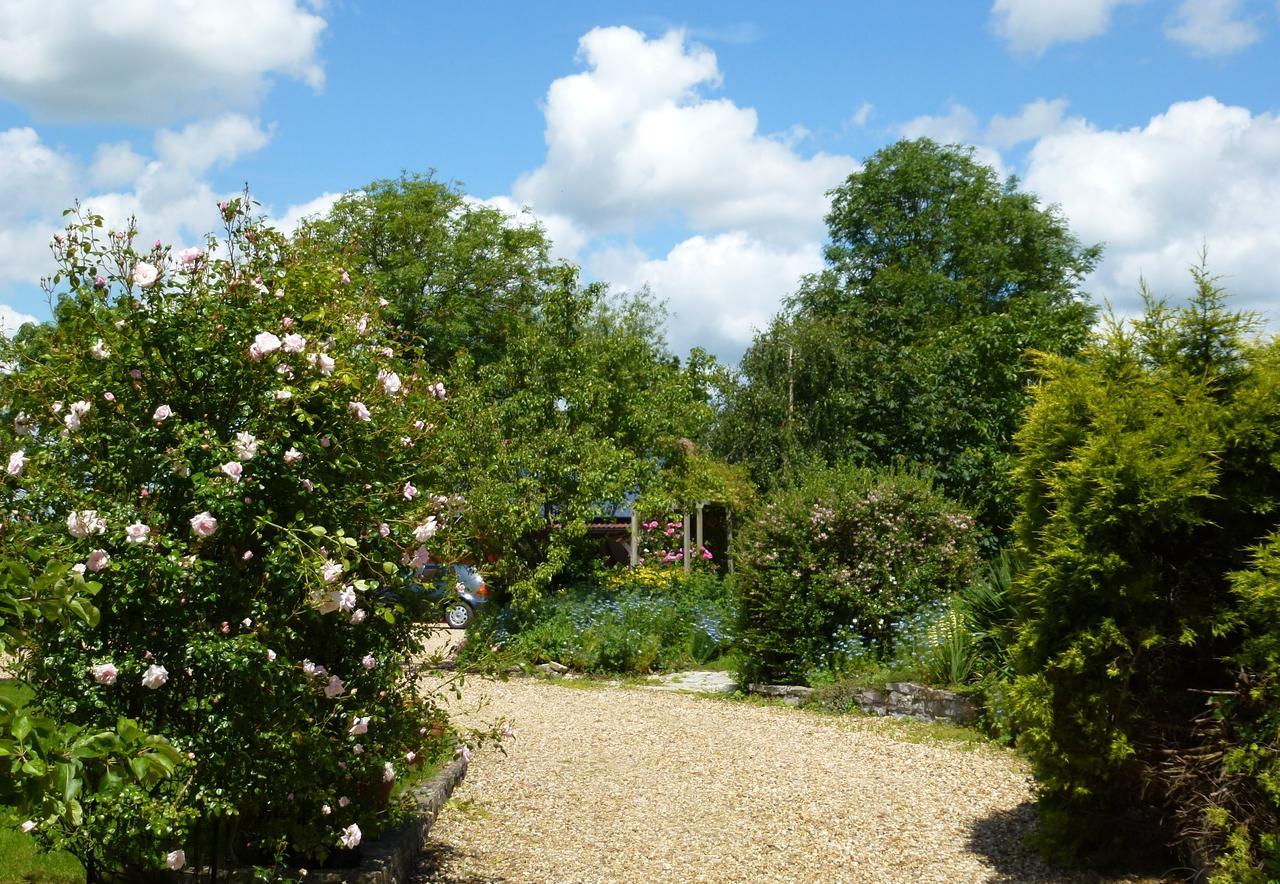 Sleepy Hollow Cottages Somerton  Exteriér fotografie